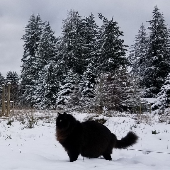 Meet your Posher, Caterina - Picture 4 of 8